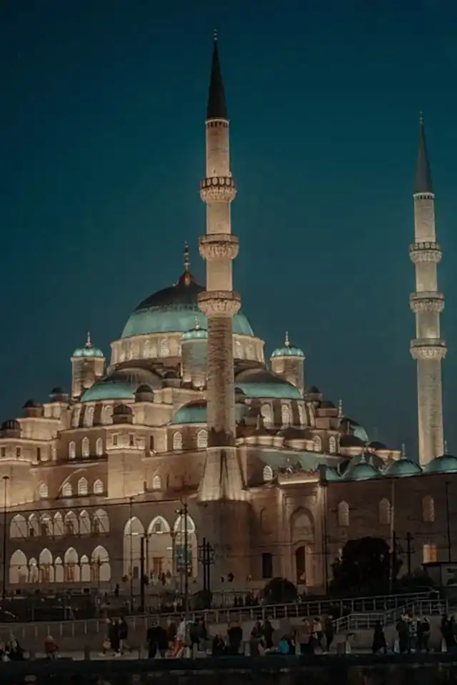 türk vatandaşlığı avukatı